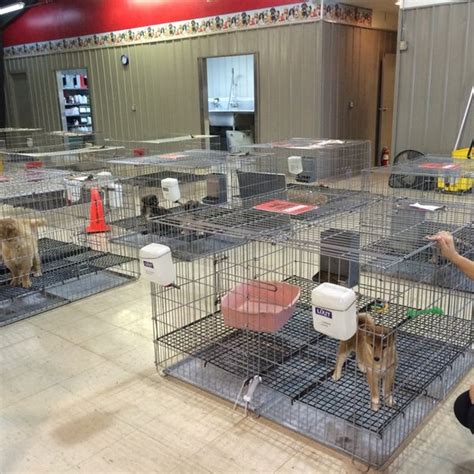 Is tully's kennel a puppy mill. Things To Know About Is tully's kennel a puppy mill. 